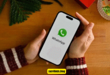 logicalshout updates whatsap