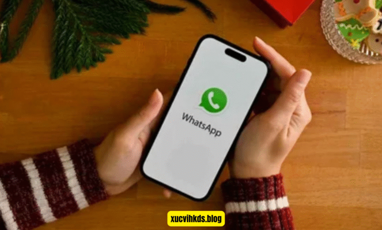 logicalshout updates whatsap