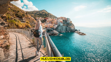 to visit vuzillfotsps